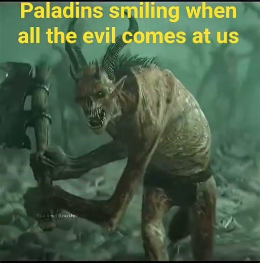 Paladins in #baldursgate3