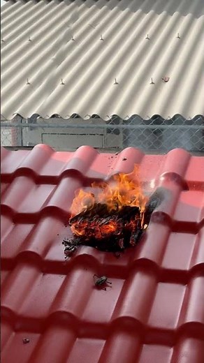 ¿Sabes que le pasa a tu techo cuando tiene contacto con el Fuego ?