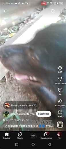 25 de febrero de 2026