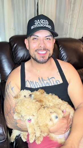 Toy Poodle Care Tips for Happy Perritos