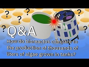 How Do Our Photobioreactors Stack Up Against Large-Scale Algae Production? - Q&A with an expert