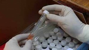 10K views · 32 reactions | Take a look at Rapid antigen tests now make up nearly half of daily checks, and other top headlines published in today’s edition of Times of India. | The Times of India | Facebook