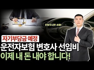 운전자보험 변호사선임비용 축소 되기 전, 운전자보험 추천 회사 A사 공개!