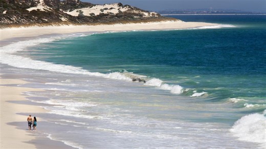 Eastern brown snake found at popular Gold Coast beach