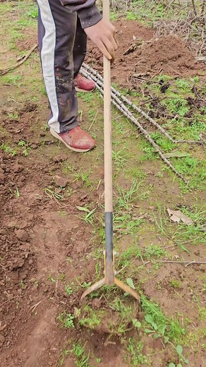 Demonstração do Corte da Enxada de 17 cm