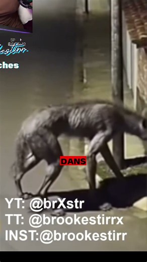 "Dogman" caught on camera in the middle of a street in Brazil