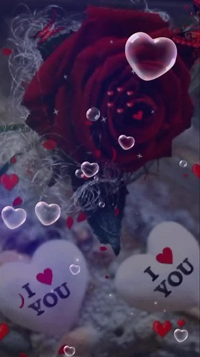 nyc Song 👌👌👌❤️#heart #dil #foryoupage #foryou #happynewyear #cremona #gift #fun #flowers #milano #festa #status #giftspecial #milano #lodi#musician