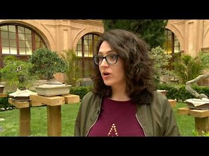 LIFE TEEN, adolescentes y fe