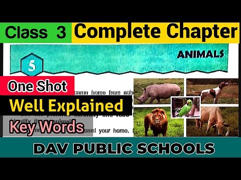 DAV class 3 Science Chapter 5 - Animals