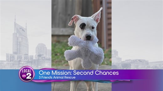 Bart Durham's big giveback: 3 Friends Animal Rescue