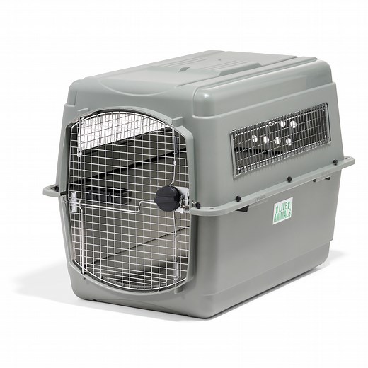 Petmate Sky Kennel for Dogs, IATA Approved, Plastic Travel Carrier, Gray, For Dogs 70-90 lbs, Extra Large, 40" x 40" x 40"
