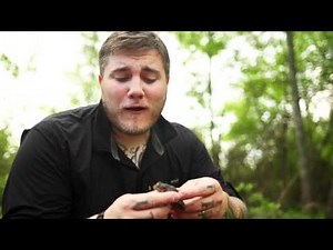 Spadefoot Toad Calling -- Catching Creation