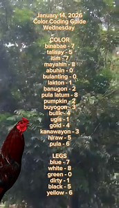 Para bukas miyerkules January 14,2026 color coding guide | Taduy Vlog
