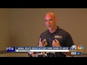 Animal rights group claims dairy farm owner knew of cow abuse