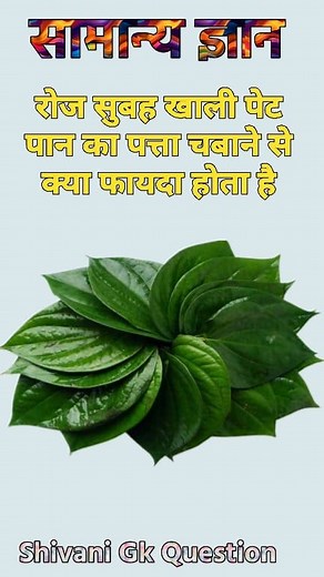 1.3M views · 27K reactions | Top 20 GK Question || GK Question ✍️|| GK Question and Answer #gk #gkquiz #gkinhindi #trending #trendingreels #gkquiz #instagram #reelsindiaofficial | Shivani Gk question | Facebook