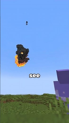 This alien came out of the meteor #minecraft