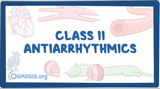 Class II antiarrhythmics: Beta blockers: Video, Causes, & Meaning | Osmosis