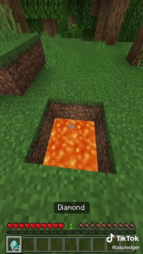 papiedger on TikTok