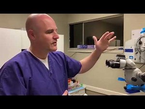 Broken microscope light?