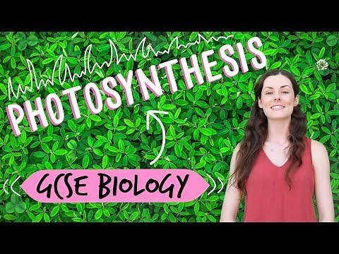 Photosynthesis - GCSE Biology
