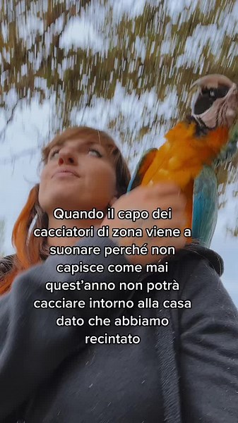 Interacting with a Colorful Parrot Outdoors