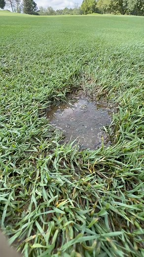 Golf​ Everyday #uswo2024 #uswomensopen #golfcoursemaintenance #golfing #golfswing #golflife #golfcourse #videos #post #reelsfbシ #reelsviralシ #best #love #playgolf | Zato Smarts