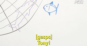 217K views · 2.9K reactions | A fish explains what it's like to lose his best friend  | PETA (People for the Ethical Treatment of Animals) | Facebook