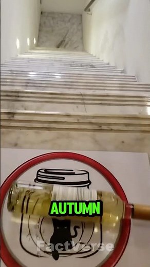 5 Surprising Things About Autumn That Will Blow Your Mind 🌕