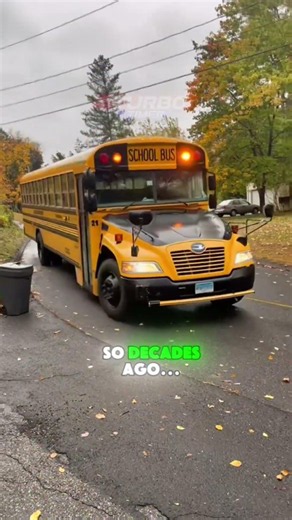 Why Are School Buses Always Yellow?