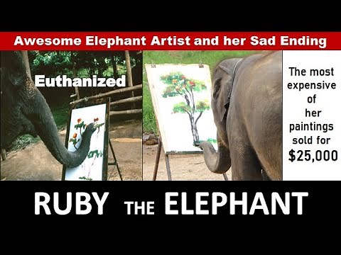 Ruby the Elephant | Awesome Elephant Artist and her Sad Ending