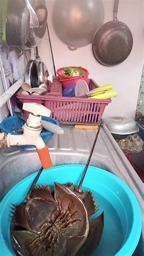 Ketakutan Ibu Tunggal di Malam Hari
