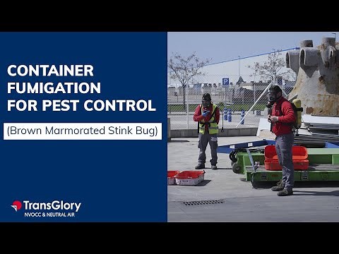 Container fumigation proceadure for BMSB