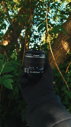 Exploring a micro world with Canon 600D + 18-55mm 🪲