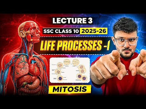 Cell Division - Mitosis | Life processes in Living Organisms Part - 1 | Class 10 SSC MH Board
