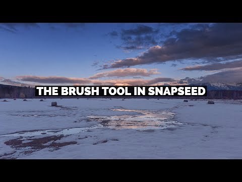 How To Use The Brush Tool In Snapseed From Google