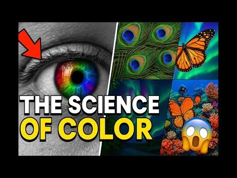 The Science of Color: Unlocking Nature's Most Fascinating Visual Language