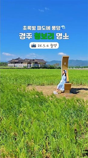 🌿싱그러움 가득한 경주 분황사 청보리밭 (구독♡좋아요) #경주여행추천 #분황사청보리밭 #청보리밭🌾 #travelkorea #greenbarley