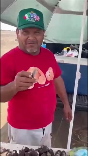 Venganse aquí a la ensenadita con mi carnal a los ostiones y patas de mula, o cualquier otro #mariscos que se les antojen. #marisquero #mapache #ostiones