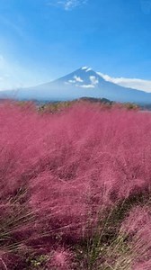 Stunning Video Capturing Majestic Mt Fuji Stock Footage Video (100% Royalty-free) 3634743825 | Shutterstock