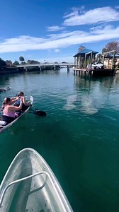 A day in the life of a kayaking in Crystal River 🙌 | Get Up And Go Kayaking