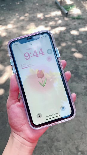 iPhone XR Transparent Phone Case Collection