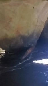 An underground waterfall deep in the Tennessee wilderness! Details of the location in comments #naturelovers #ScenicViews #hikingadventures #adventuretravel | The Nature Seeker