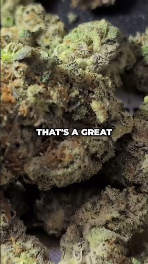 Unlock Cannabis Secrets: Terpenes & THC's Mind-Bending Interplay!