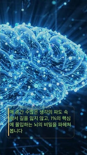1분에 1000가지 생각, 1%만 '깊은 집중'… 뇌를 멈추게 하는 '주의력 분산'의 진실