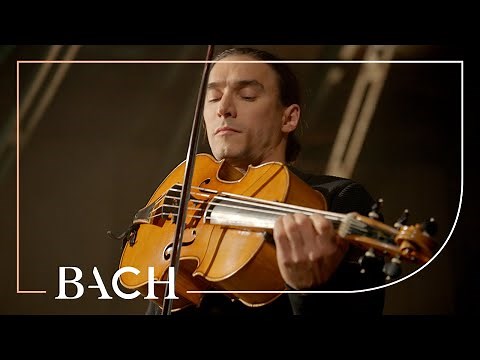 Bach - Cello Suite no. 6 in D major BWV 1012 - Malov | Netherlands Bach Society