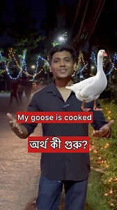 9.5K views · 299 reactions | My goose is cooked - অর্থ শুনলে অবাকই হবেন। #englishreels #idioms #vocabulary | Khalid Speaks | Facebook