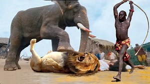 25 Moments When The Huge Python Fights Big Cats, What Happens Next Animal Attack.mp4 | Wild life Animals