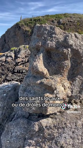 Rochers Sculptés de Rothéneuf: Un Chef-d'œuvre Artistique Insolite en Bretagne