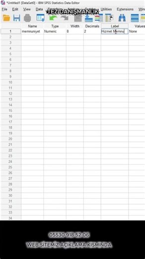 Ordinal Ölçek Nedir? SPSS’te Nasıl Girilir?