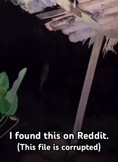 You can't download this file.